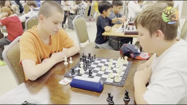 Тематические шахматные программы «Мир Игр»