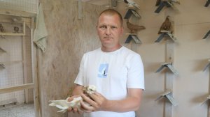 " С голубями-я забываю обо всём" В гостях у Гейнце Владимира.