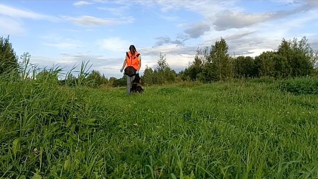 Дик Найти Эль'Тайм Ликан 6 месяцев смотреть онлайн