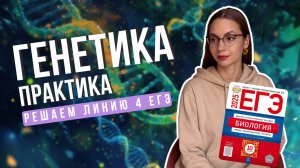 Как решать задачи линии 4 ЕГЭ по биологии | Биология с Ириной Евдокимовой
