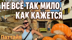 Поехали на бесплатную ферму овец… и закончили в суши-ресторане | ПАТТАЙЯ