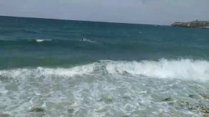 Карантинная бухта. Пляж Скалки. Мы с Пулькой на волнах августа. Севастополь 25