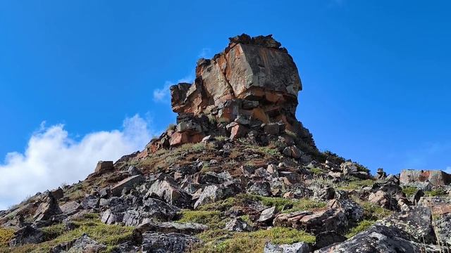 "Мы не знали друг друга до этого лета" смотреть онлайн