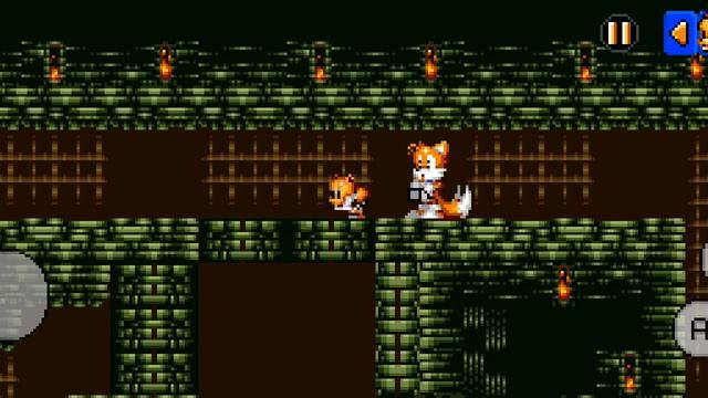 играю в тейлз андвенчер 1часть