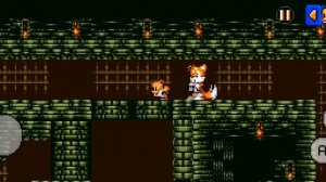 играю в тейлз андвенчер 1часть