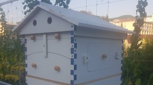 Потоковый улей из Китая. Новый проект "ПЧЁЛЫ".