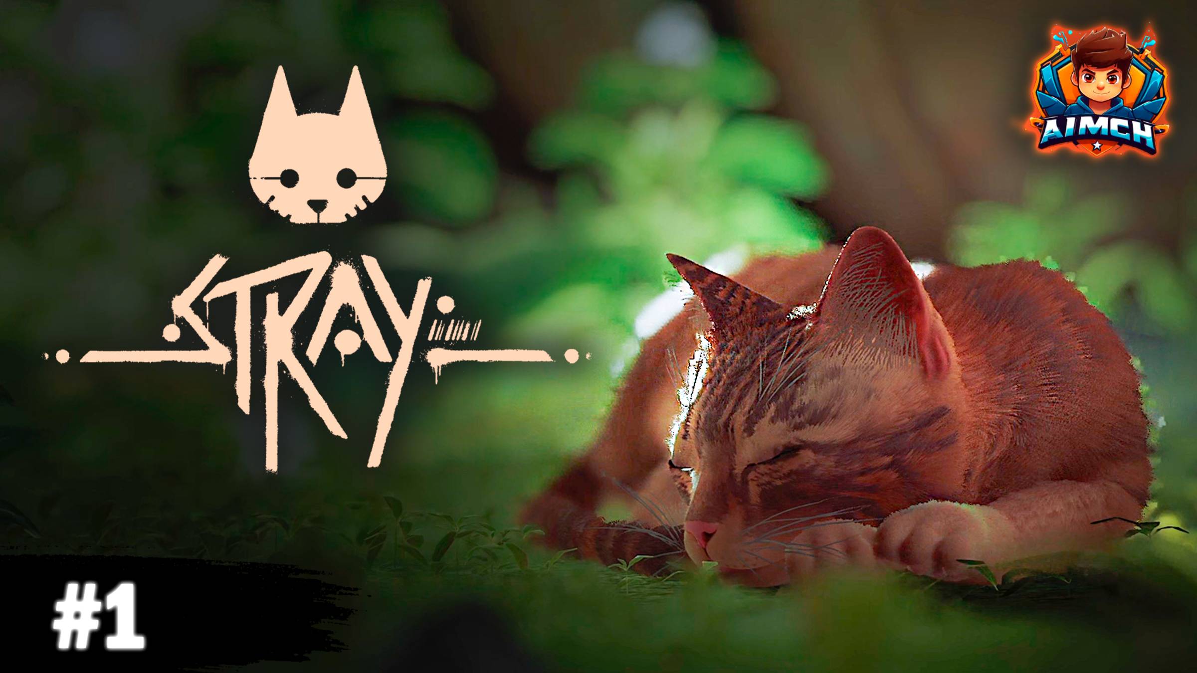 ОЧЕРЕДНОЙ ШЕДЕВР ПРО КОТИКОВ💥Stray #1