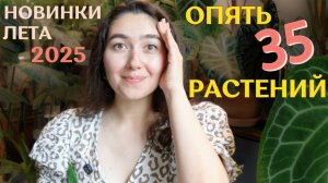 большое ПОПОЛНЕНИЕ КОЛЛЕКЦИИ этого ЛЕТА | много РАСТЕНИЙ и МНОГО РАДОСТИ от новинок | +35 растений