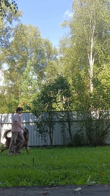 Куда идём мы с Пятачком...