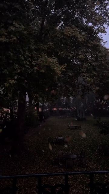 Природа 😊 смотреть онлайн