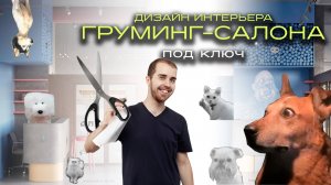 Большой обзор дизайна интерьера груминг-салона для кошек и собак