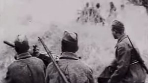 Журавли. Здесь под небом чужим… Исп.Енин Герман.