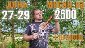 Месяц 2500 рублей на еду + огород. День 27-29.