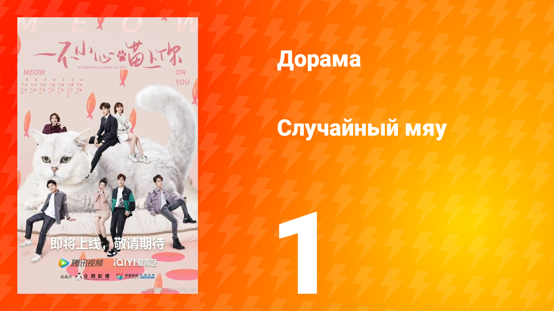 Случайный мяу 1 сезон 1 серия смотреть онлайн