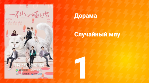 Случайный мяу 1 сезон 1 серия
