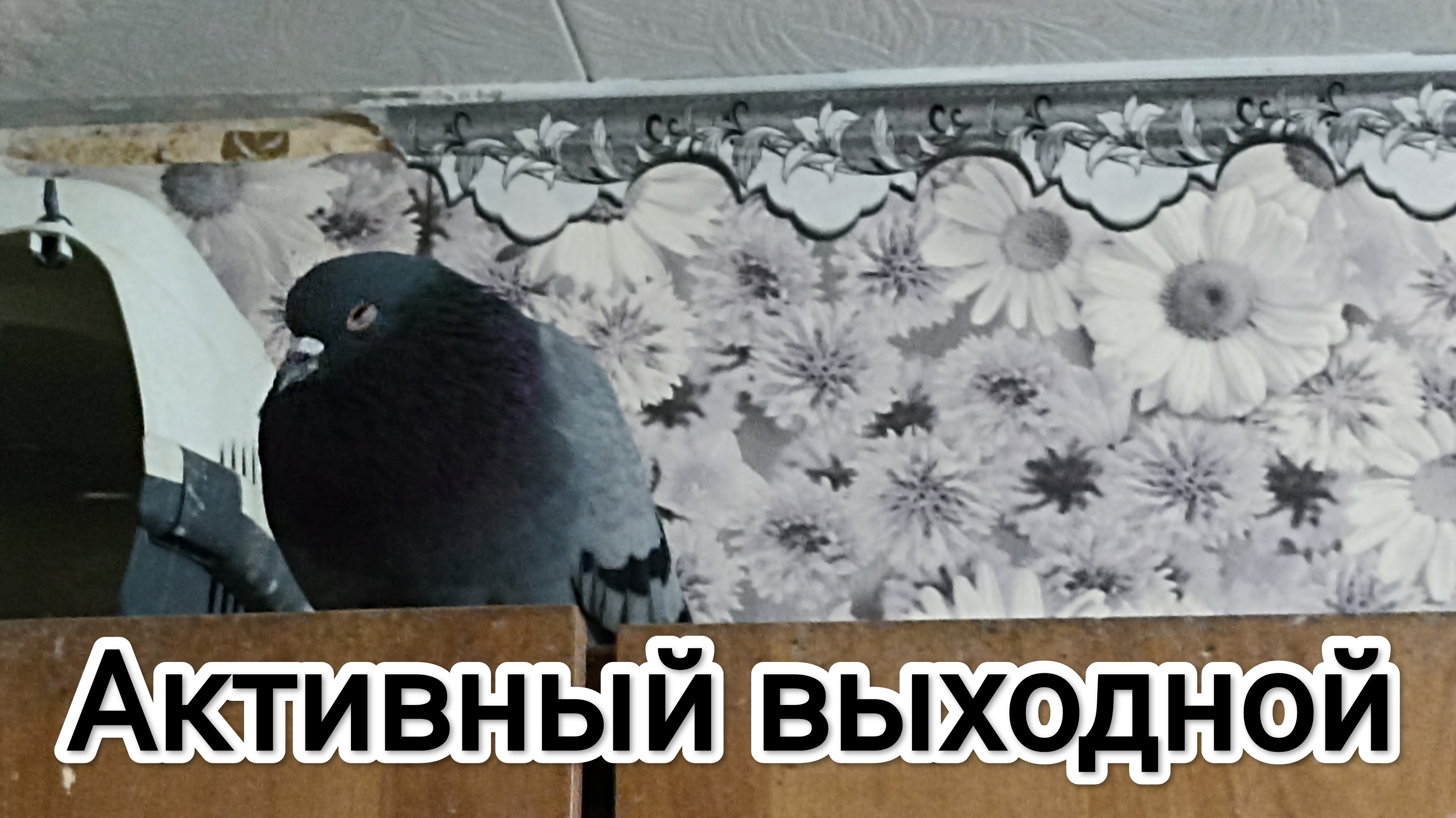 12-08-2025. Активный выходной.