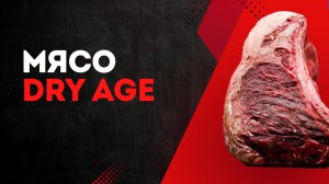 Мраморная говядина Dry Age. Стейки сухого вызревания. Как ферментировать мясо в домашних условиях.