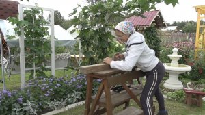 6 соток 7 августа 2025 года. Хроника.