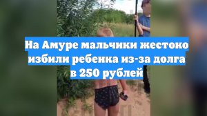 На Амуре мальчики жестоко избили ребенка из-за долга в 250 рублей