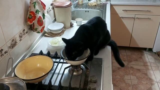 Интересный зверь нам достался !