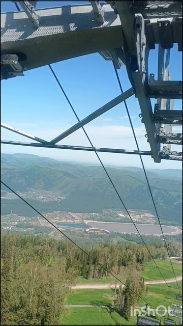 Жизнь