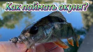 Как ловить на микроджиг или ультралайт? Какой спиннинг и приманки нужены для микроджига?