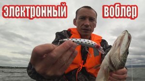 Электронный воблер на щуку!