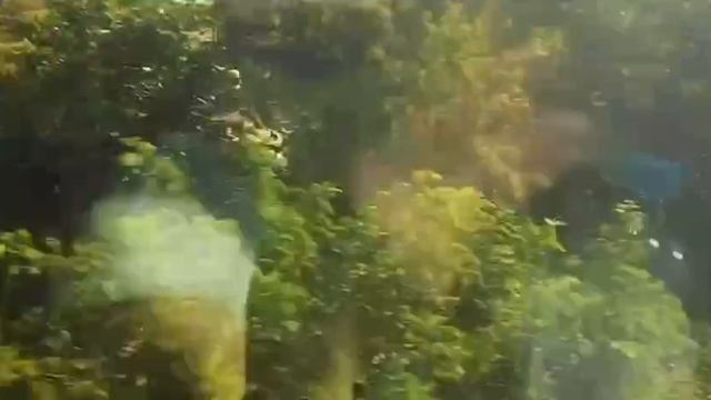 поездка в Санкт-Петербург *часть 2*