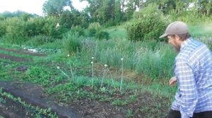 Экскурсия по Саманному