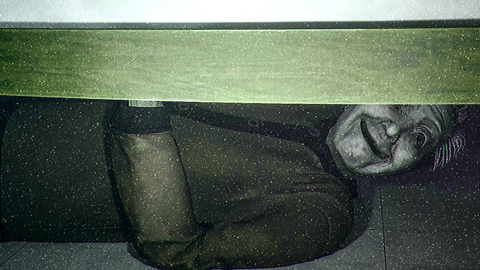 ЗЛОВЕЩЕЕ ЖИЛИЩЕ | DREAD FLATS (Запись стрима) смотреть онлайн