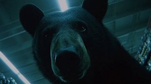 "Домашние" питомцы