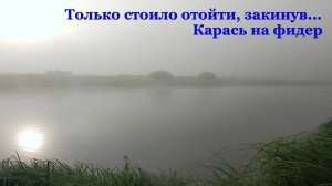 Только стоило отойти, закинув... Карась на фидер