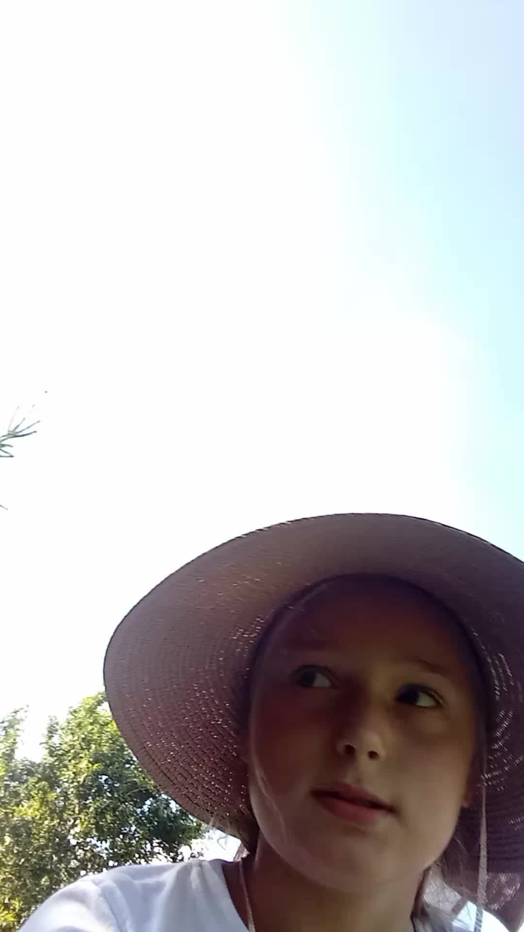 . смотреть онлайн