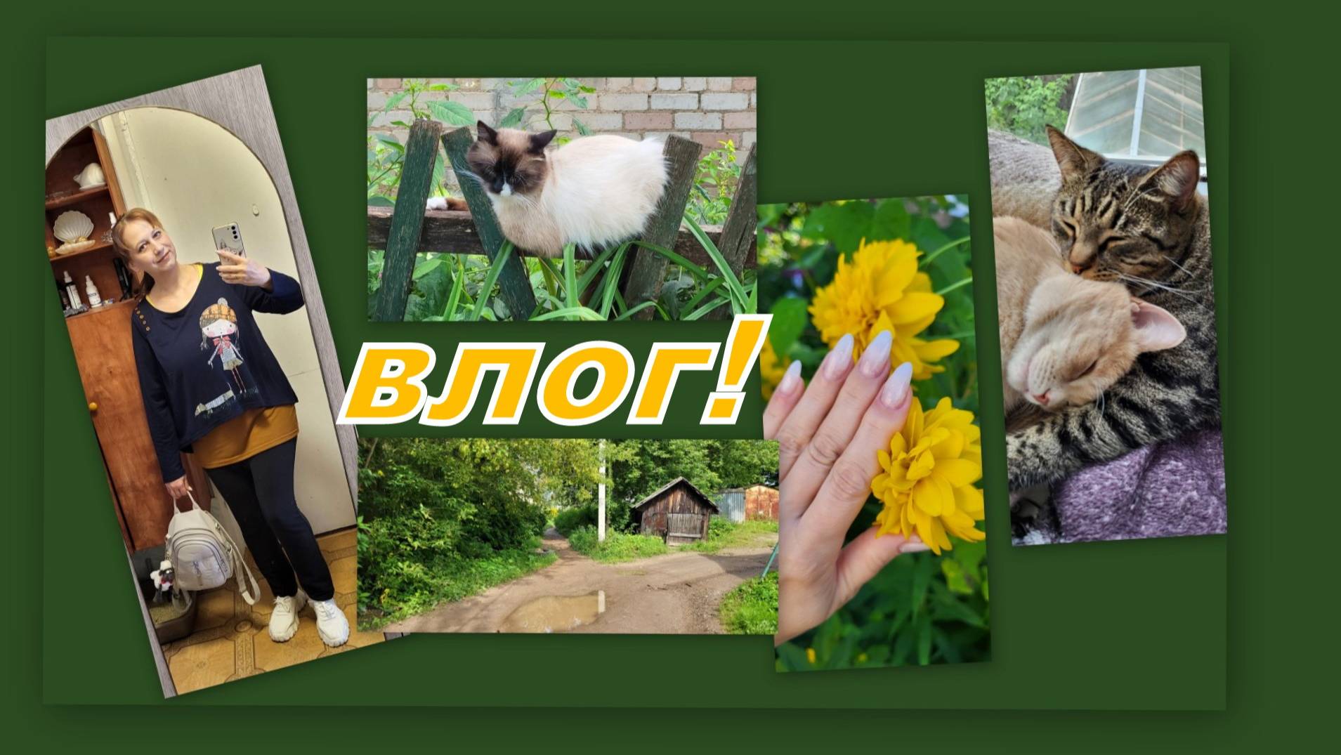 ВЛОГ: ИДЕМ ПОЛУЧАТЬ ЗАКАЗЫ, МОИ ХОТЕЛКИ, ЧОКУПИЛА, БУДНИ... смотреть онлайн