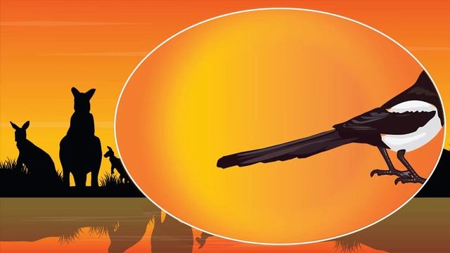 Australian_Animals смотреть онлайн