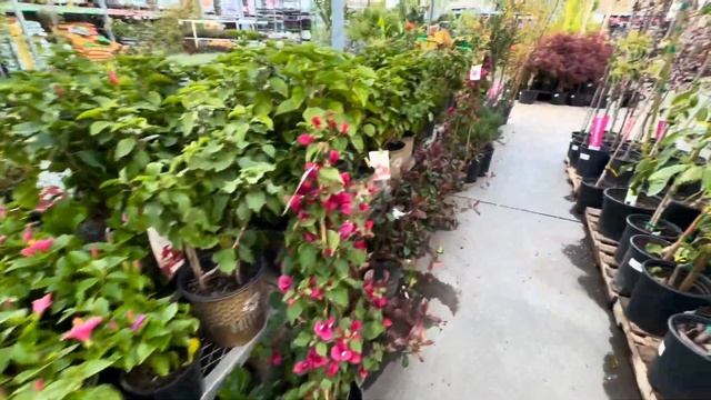 США ОТКРЫВАЮ СЕЗОН ЗАКУПОК В HOME DEPOT смотреть онлайн