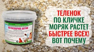 В корм добавили всего две ложки… Результат удивил!