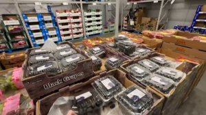 США ЗАКУПКА В МАГАЗИНАХ SAM’S CLUB И COSTCO ОБЗОР МАГАЗИНОВ