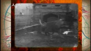 Аты-баты. Половецкие войны Киевской Руси