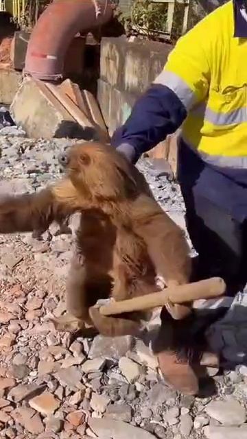 магия вне Хогвартса