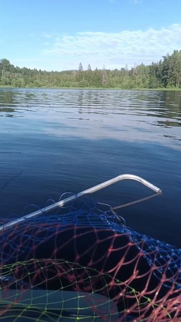 Щучка на воблер.Рыбалка с лодки с женой. смотреть онлайн