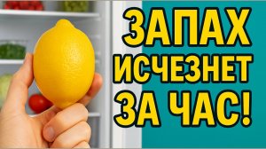 Больше никакого запаха! Один простой трюк для холодильника