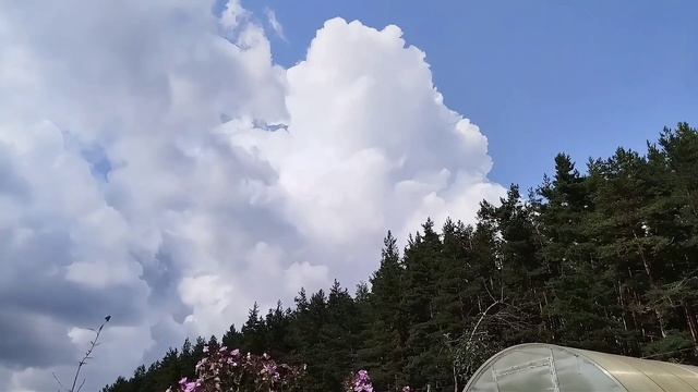 Движение облаков 12 августа фронтальные и внутримассовые 4 К ускоренный режим смотреть онлайн