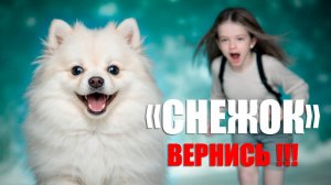 Мой Снежок .  История с поводком.