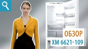 Обзор двухкомпрессорного холодильника ATLANT ХМ-6621-109
