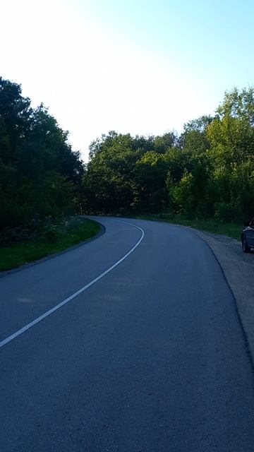 дорога через заповедник Шипов лес