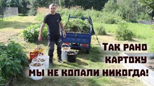 Картоха гниёт в земле, зато дрова падают с неба!