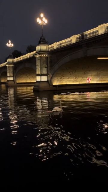 Спокойствие 😊 смотреть онлайн