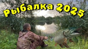 Рыбалка 2025. Рыбалка на поплавок. Ловлю на живца.