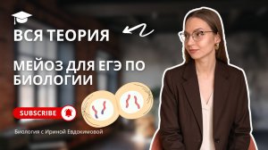 Весь МЕЙОЗ для ЕГЭ по БИОЛОГИИ | Биология с Ириной Евдокимовой